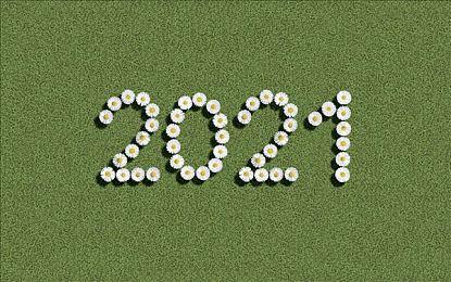 TGS 2021：日本游戏大奖年度得奖名单出炉 《对马岛之鬼》获首奖